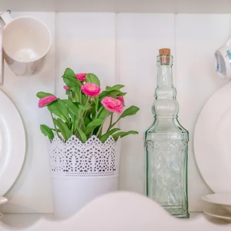 Old Romantic 3 Póla